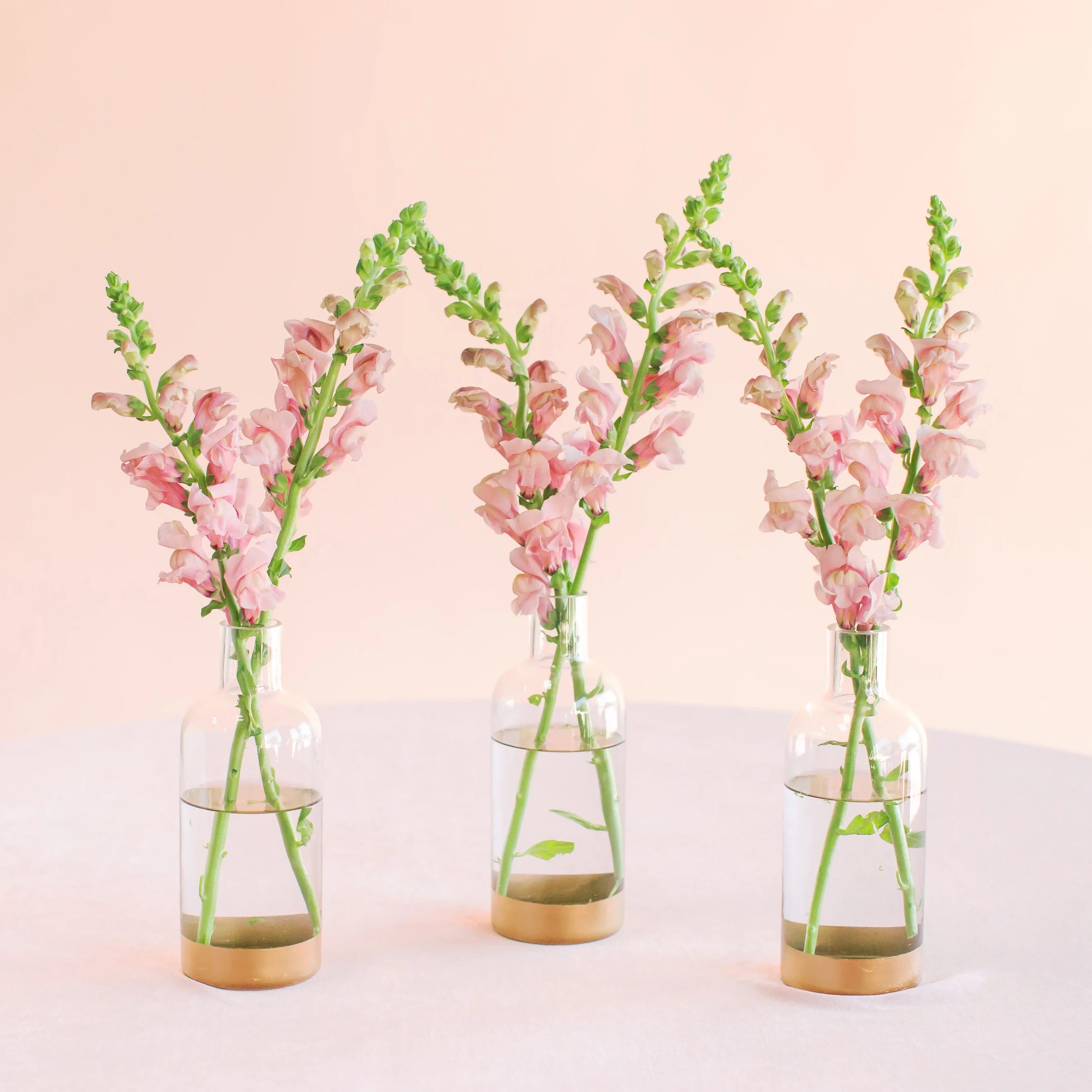 Bud Vases-Pink Snapdragons (set of 3)
